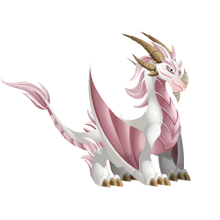 Albino Dragon 3