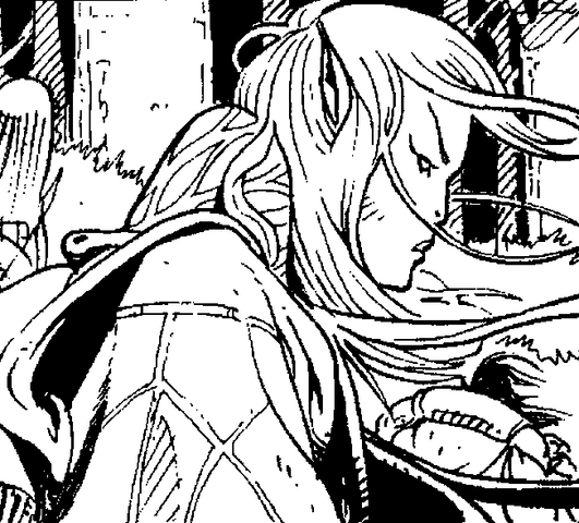 File:Dragonero Elfi.png