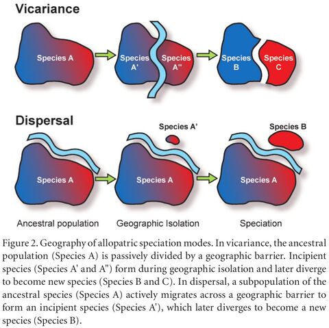 File:Dispersal vicariance.jpg