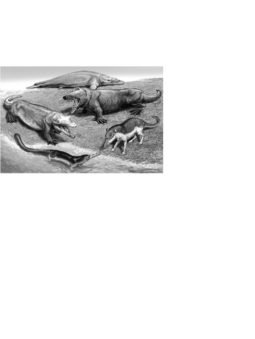 File:Representative Eocene cetaceans..png