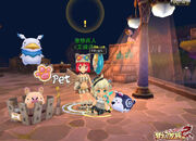 Dragonica pet mount2