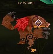 Dudu.jpg