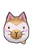 Dgn cat pet 001
