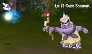 OgreShamanAttack