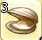 Half-eaten Clam
