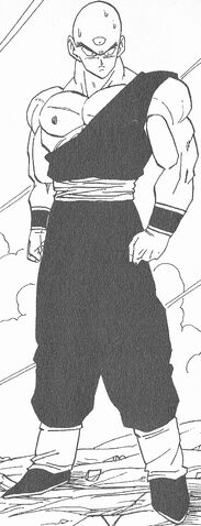File:Tenshinhan.jpg