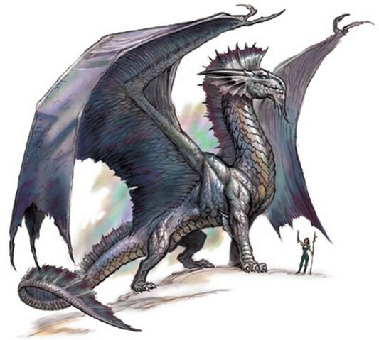 File:Silver-dragon.jpg
