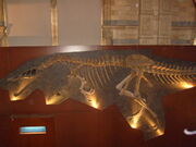 Baryonyx skeleton by WorldSerpent