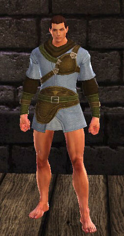 File:PatrolBreastplate Male.jpg