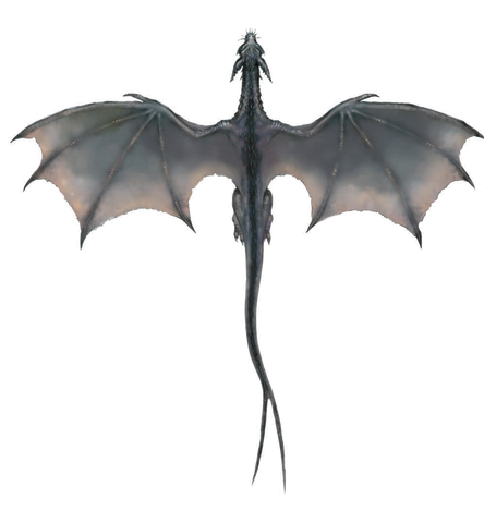 File:Gray Dragon (overhead).png