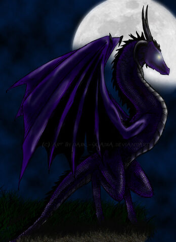File:Dragon Violet by Dark Skadia.jpg
