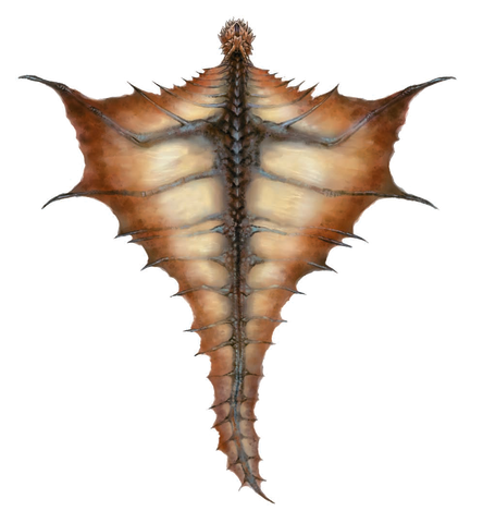 File:Brown Dragon (overhead).png