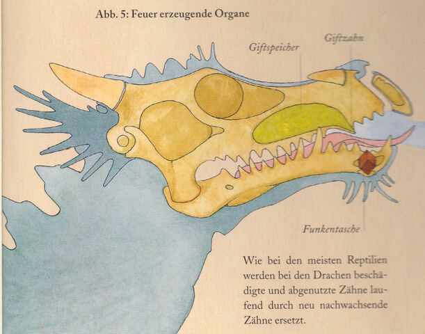 File:Dragonology fire.jpg