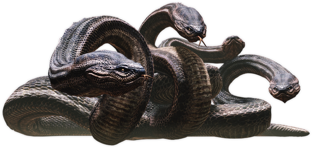 Archivo:Hydra01.png