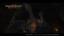 Dragon's Dogma Dark Arisen Screenshot 14