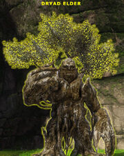 Dryad elder1