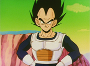 VegetaOldStyleCombatJacket