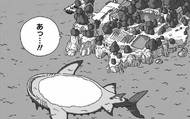 Dead Monster Shark
