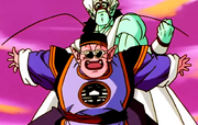 South Kaio and Papoi