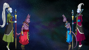 Champa Discovered