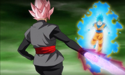 Rose vs Blue