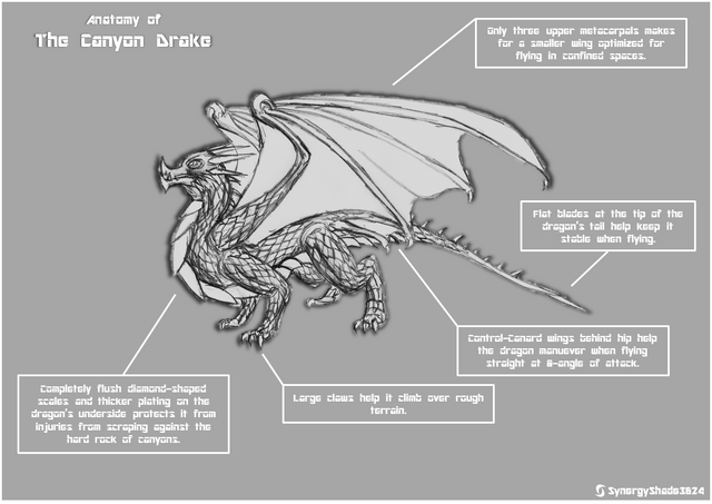 File:CanyonDrakeA.png