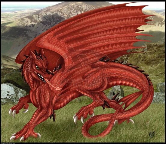 File:Welsh Dragon by DrakainaQueen.jpg