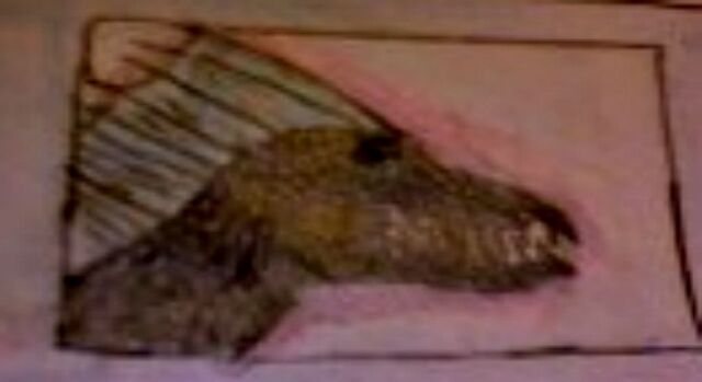 File:Dragonshree1.jpg