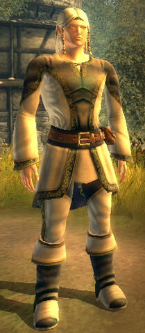 File:Spellweaver-male.jpg