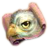 Adlerauge pic.png