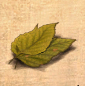 Belmartblatt01.jpg