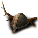 Geweihhelm2
