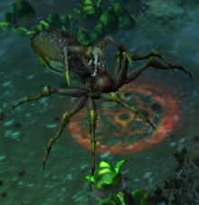 Arachna-0