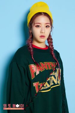 Kisum