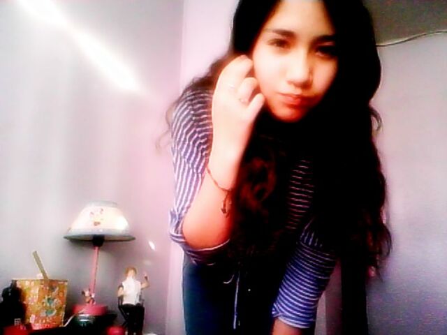 Archivo:Webcam-toy-foto8.jpg
