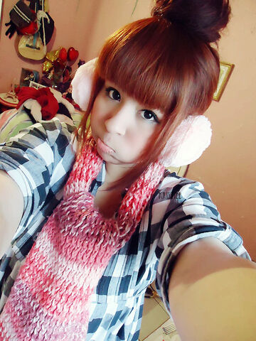 Archivo:DSC02899 副本.jpg