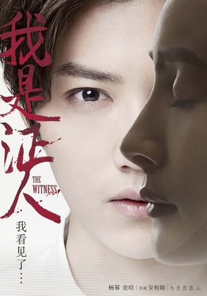 The Witness01.jpg