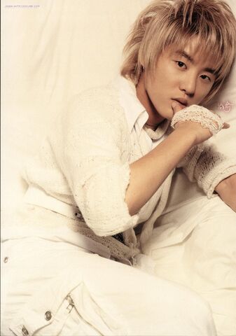 Archivo:Xiah Junsu0.jpg