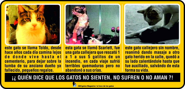 Archivo:N n.png