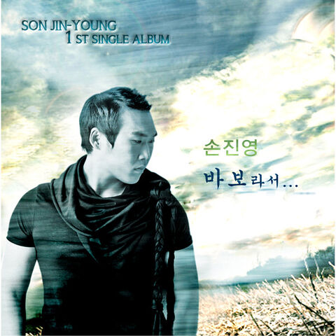 Archivo:Son Jin Young - Because I`m Stupid.jpg