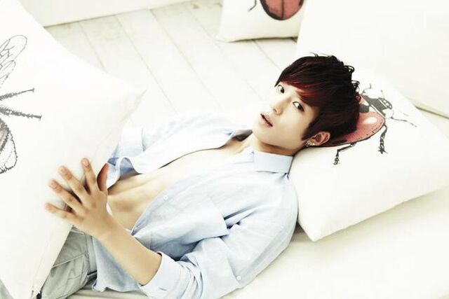 Archivo:T changjo2.jpg