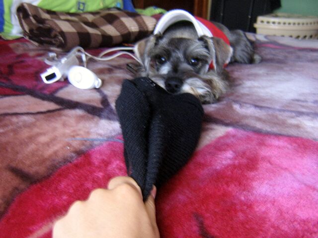 Archivo:IMG 1064.jpg