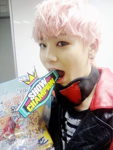Archivo:ZELO7.jpg