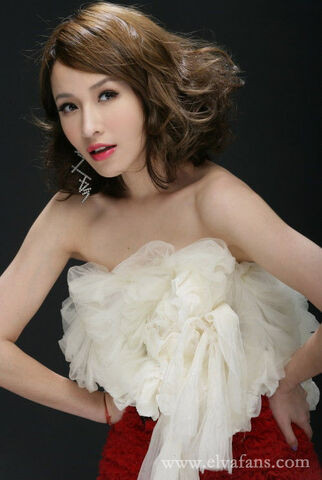 Archivo:Elva Hsiao4.jpg