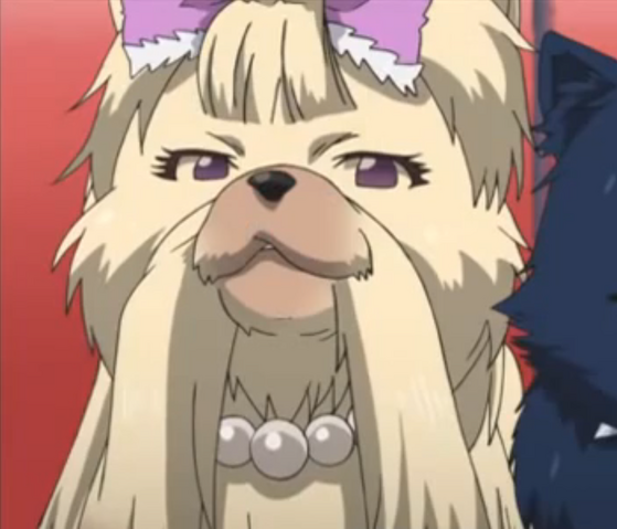 File:Claraanime1.png