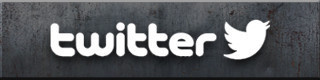 File:Twitter-panel.jpeg
