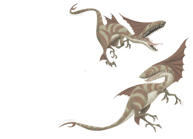 File:Transparent-2.png
