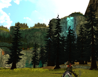 Wilder woodland