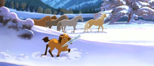 File:Spirit.colt.iceicle.jpg