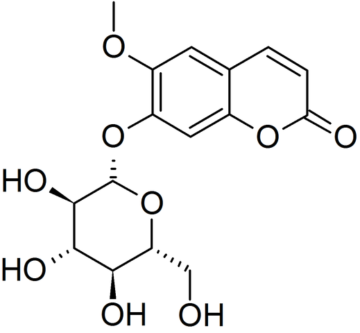 Datei:Scopolin.png
